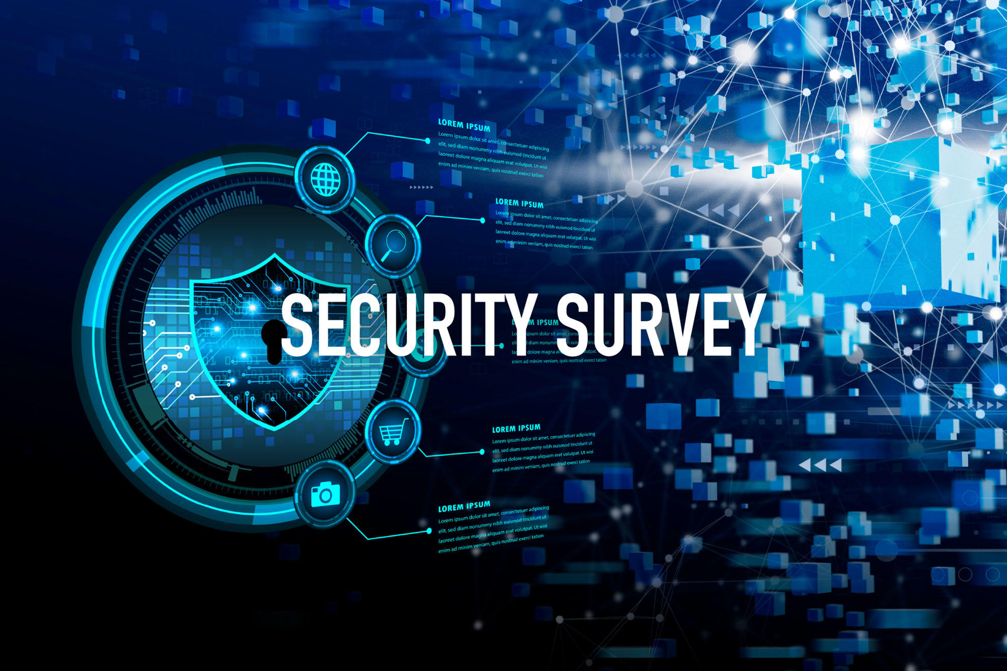 SECURITY SURVEY